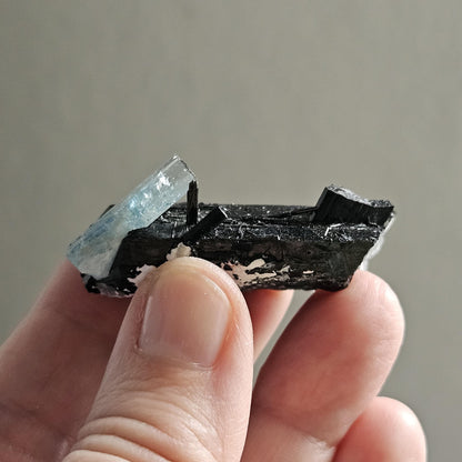 Aquamarin auf Schörl, schwarzem Turmalin, Stufe, Erongo Namibia