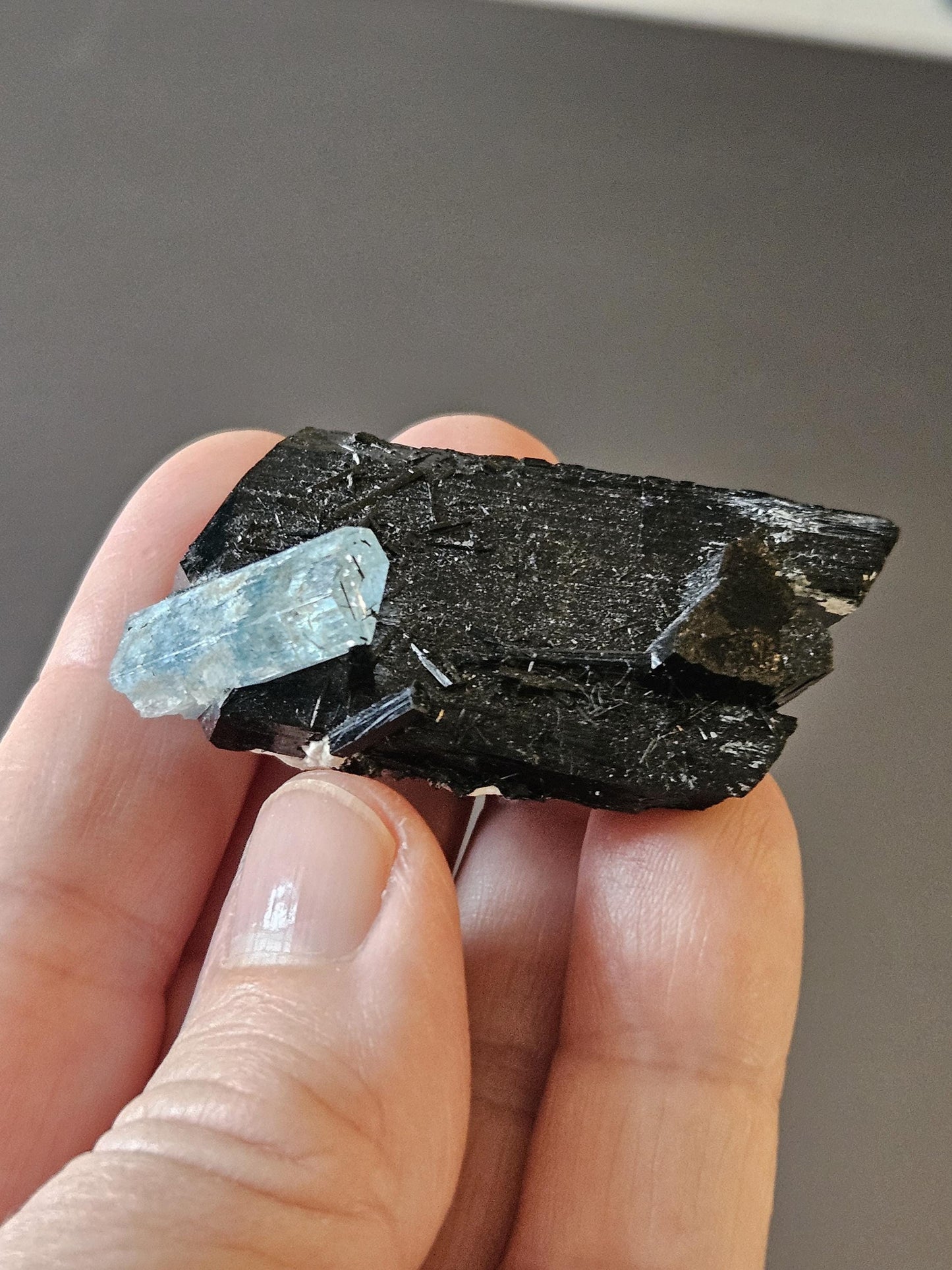 Aquamarin auf Schörl, schwarzem Turmalin, Stufe, Erongo Namibia