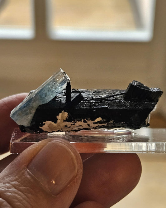 Aquamarin auf Schörl, schwarzem Turmalin, Stufe, Erongo Namibia