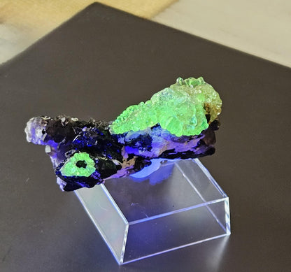 Traumhafte Stufe! Hyalit fluoreszierender Glasopal Opal auf Rauchquarz und Schörl, schwarzem Turmalin, Namibia