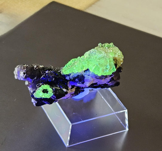Traumhafte Stufe! Hyalit fluoreszierender Glasopal Opal auf Rauchquarz und Schörl, schwarzem Turmalin, Namibia