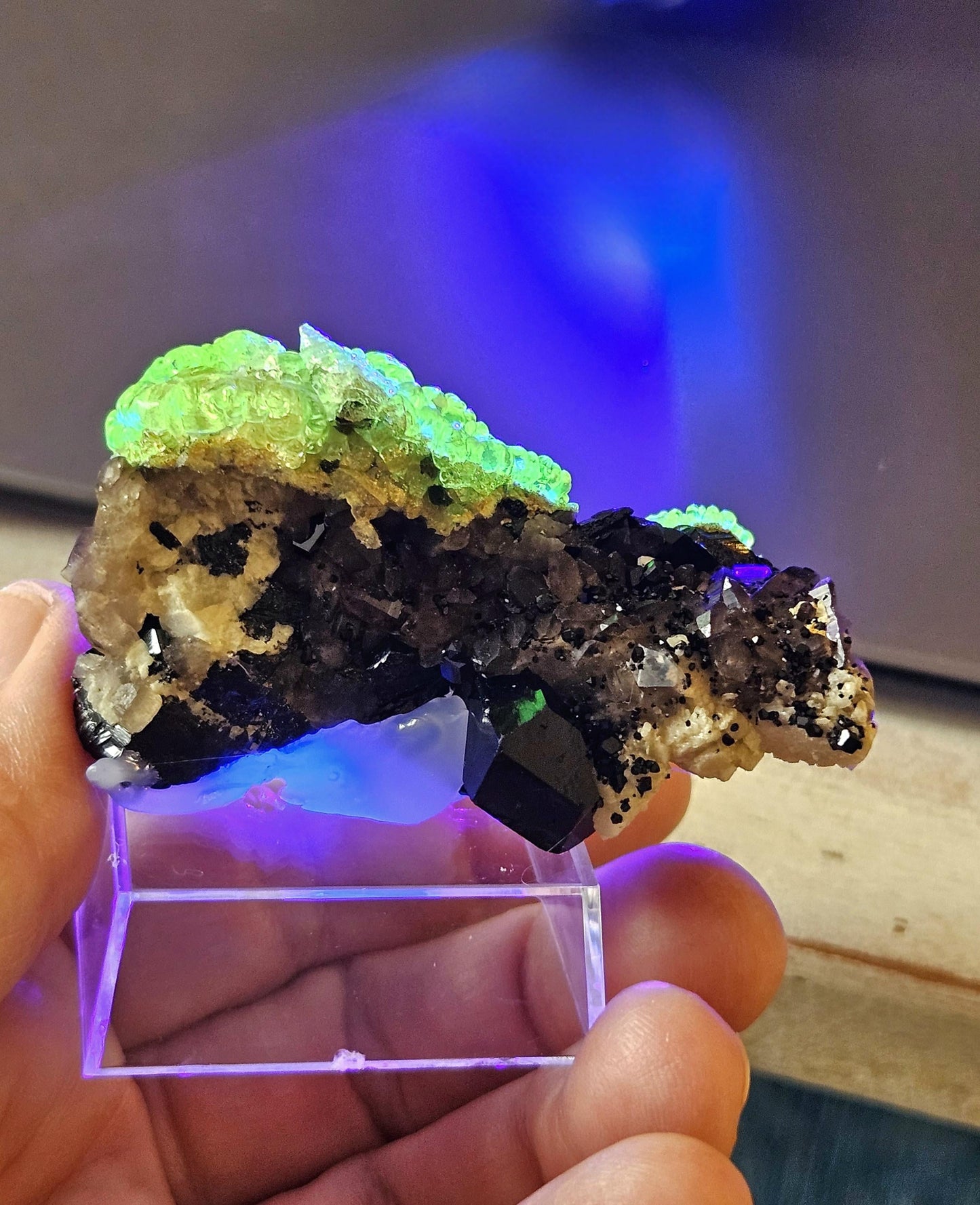Traumhafte Stufe! Hyalit fluoreszierender Glasopal Opal auf Rauchquarz und Schörl, schwarzem Turmalin, Namibia
