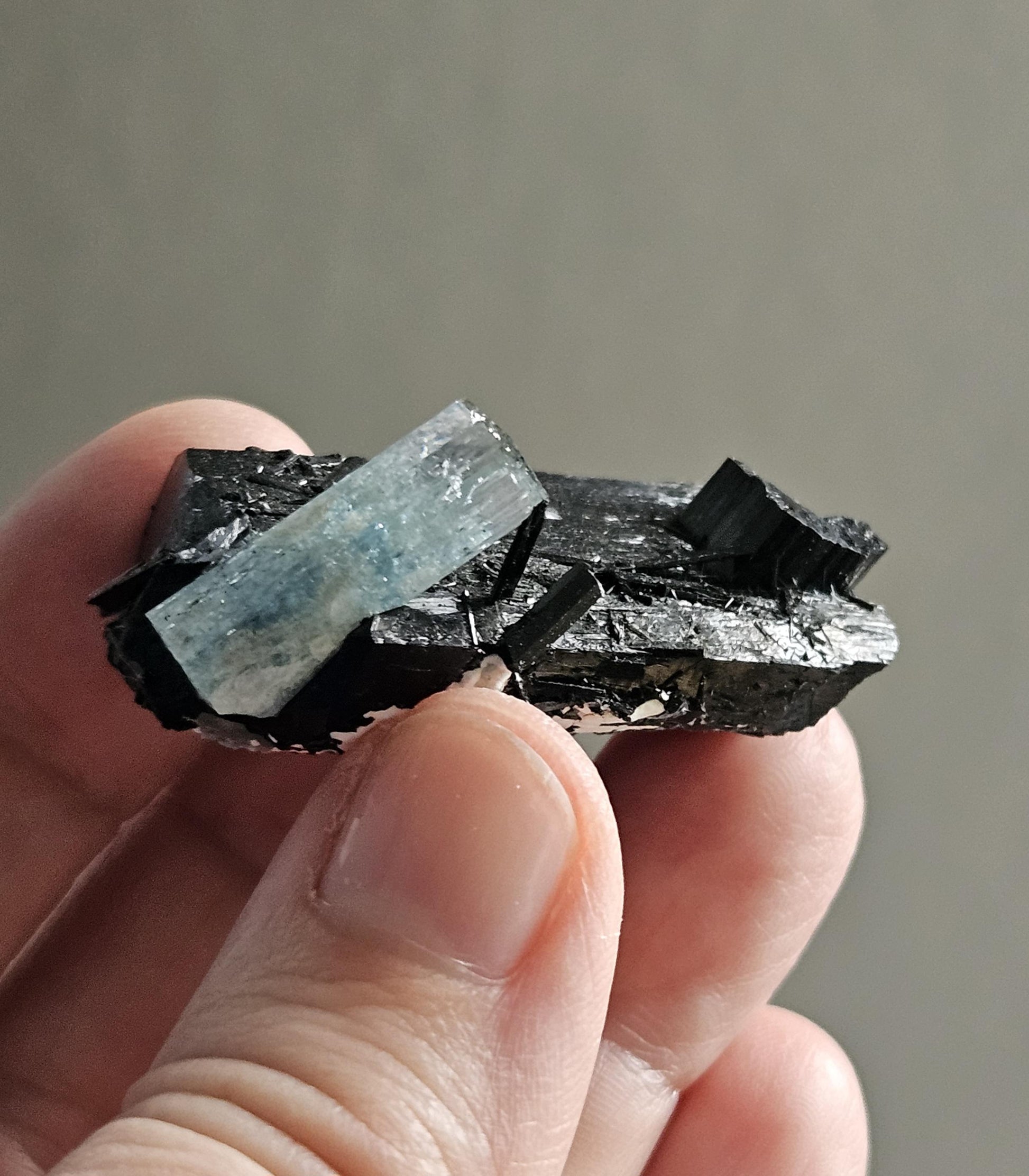 Aquamarin auf Schörl, schwarzem Turmalin, Stufe, Erongo Namibia