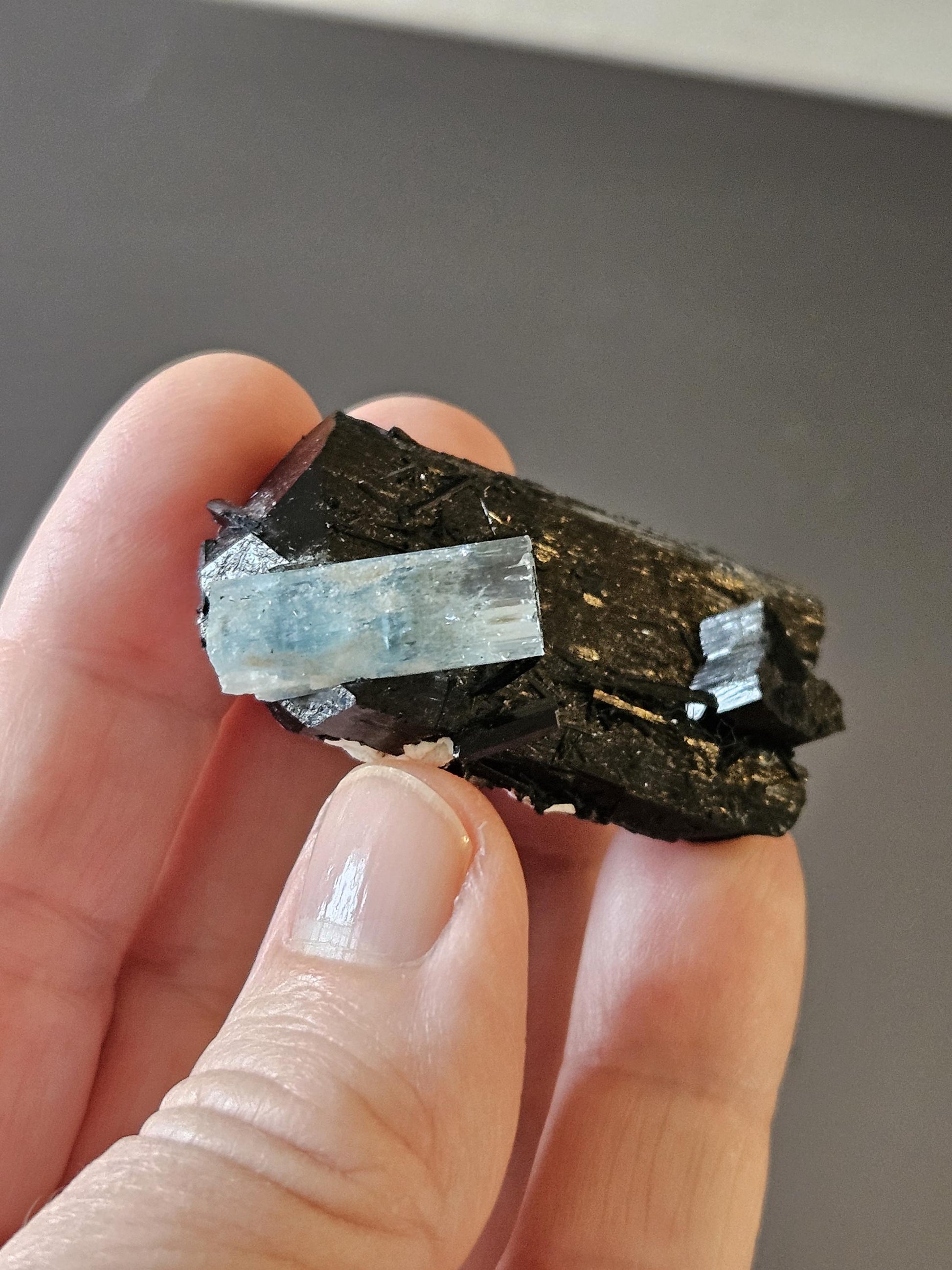 Aquamarin auf Schörl, schwarzem Turmalin, Stufe, Erongo Namibia