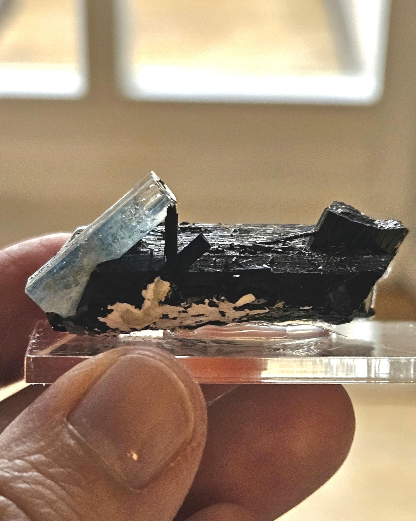 Aquamarin auf Schörl, schwarzem Turmalin, Stufe, Erongo Namibia