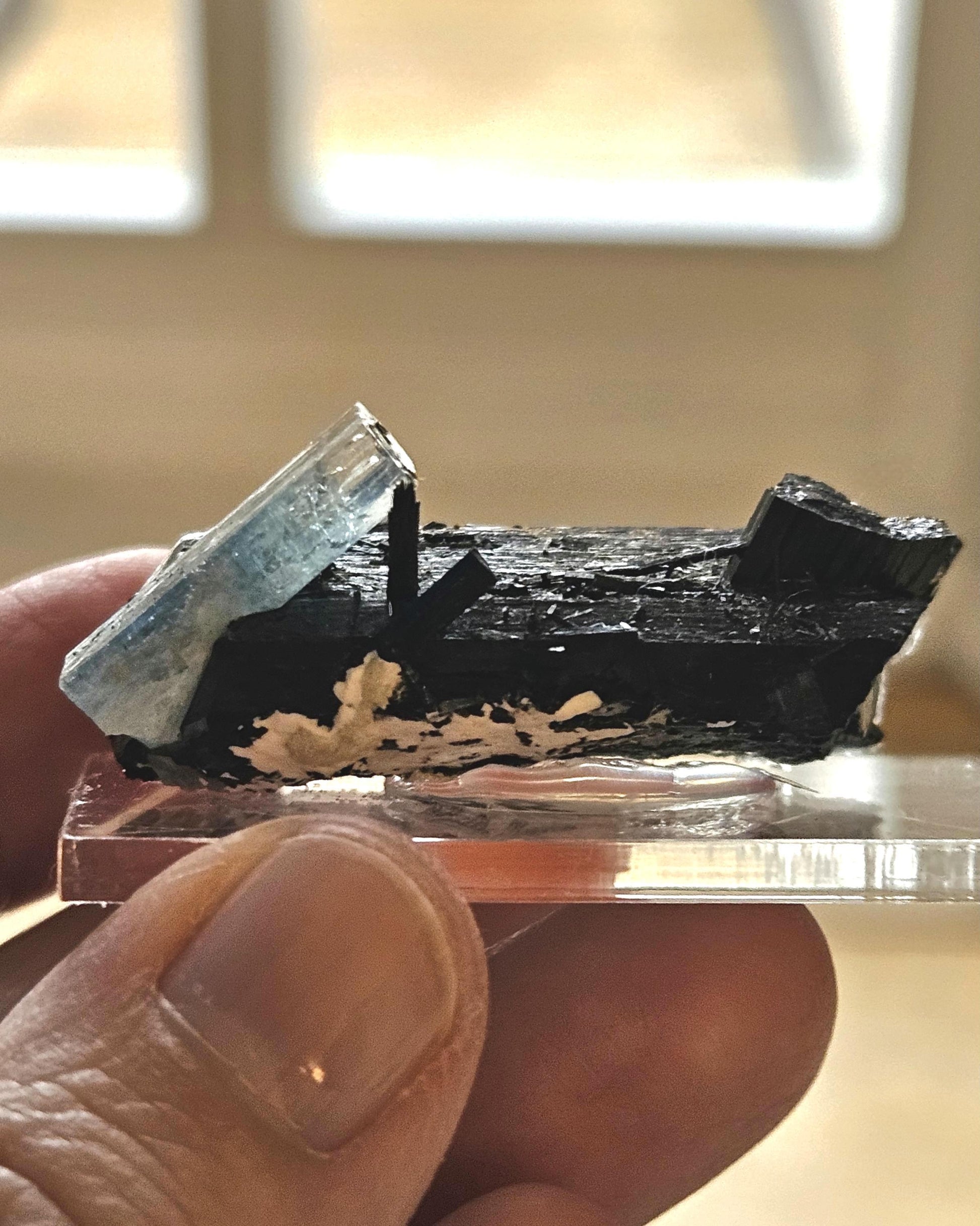 Aquamarin auf Schörl, schwarzem Turmalin, Stufe, Erongo Namibia