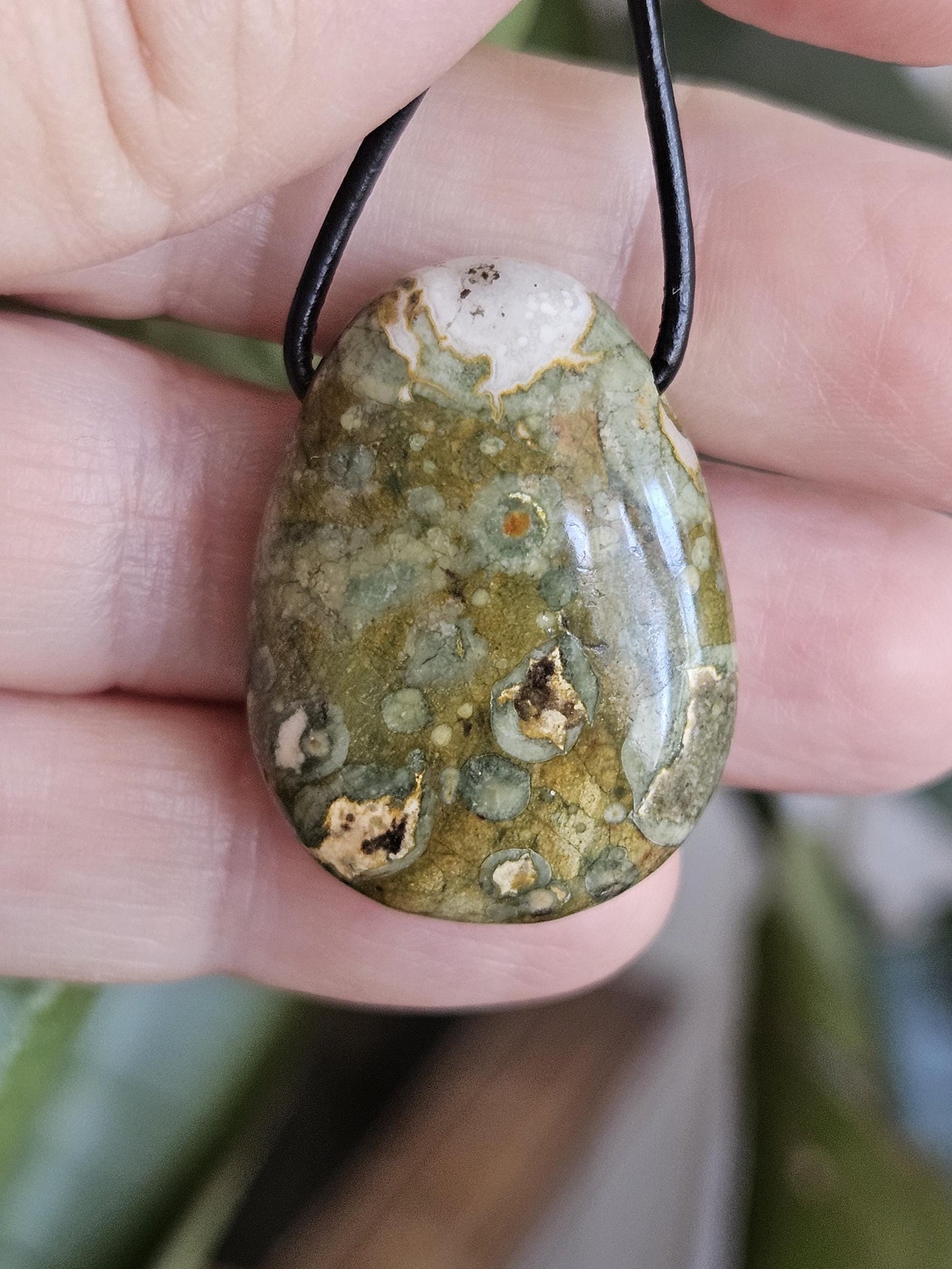 Regenwaldrhyolith Regenwald Rhyolit, Regenwald Jaspis, Anhänger, 30 x 22 x 10 mm, gebohrt, an verstellbarem Lederband