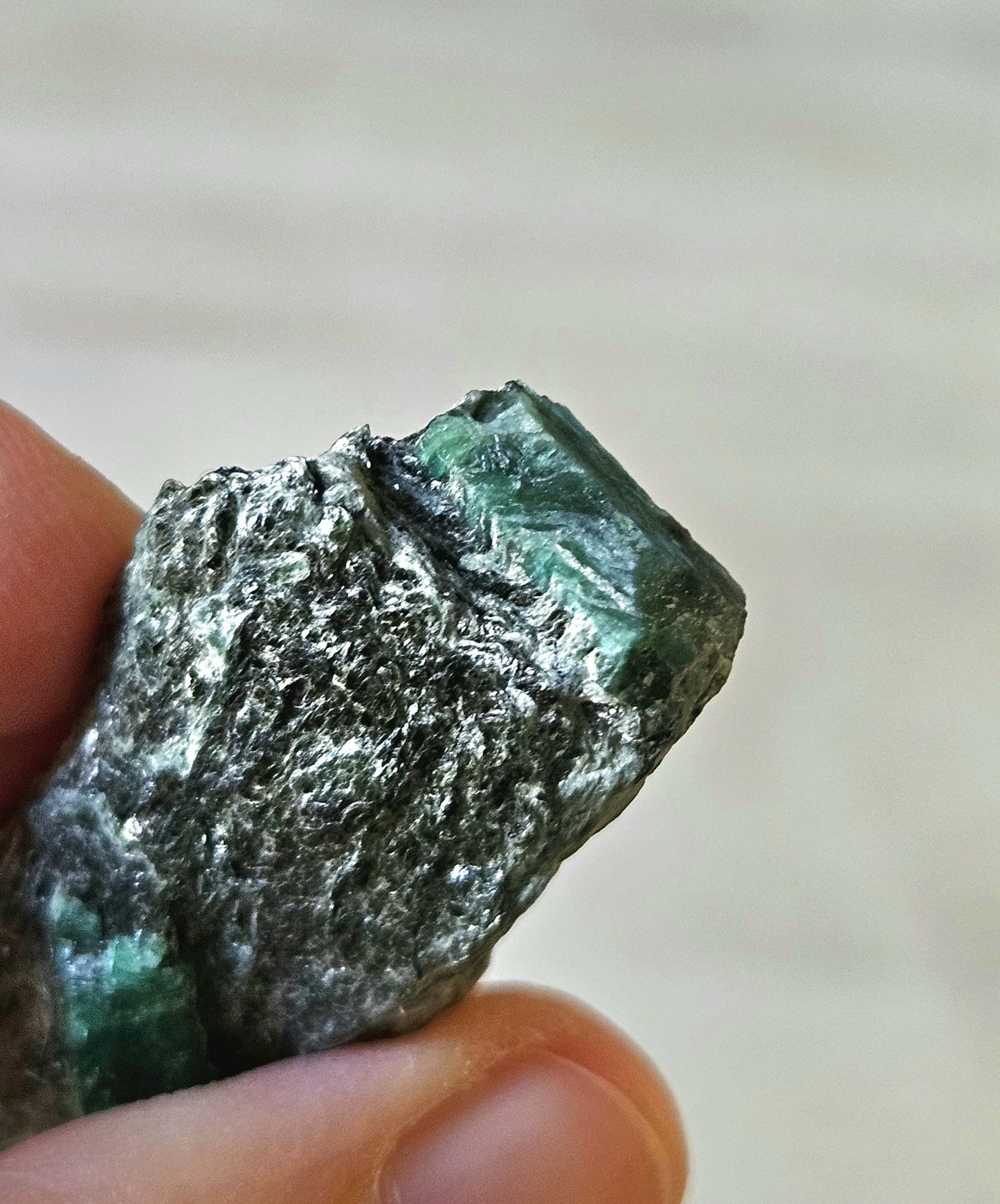 Smaragd Smaragde in Glimmer Aktinolithschiefer aus dem Habachtal Österreich