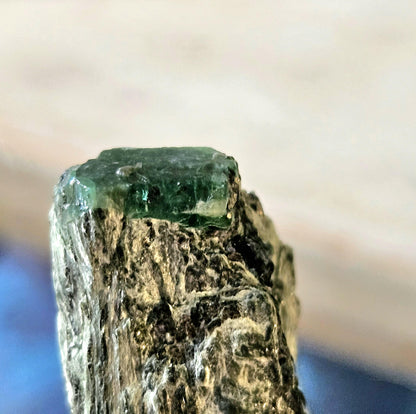 Smaragd Smaragde in Glimmer Aktinolithschiefer aus dem Habachtal Österreich