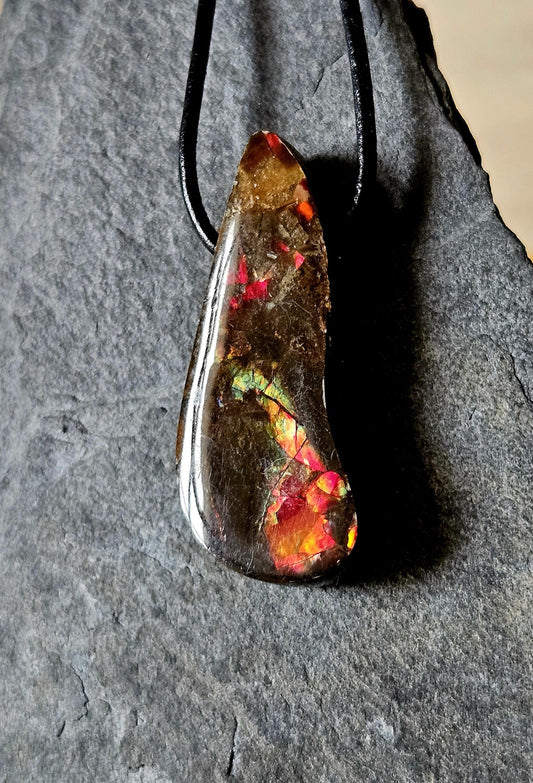 Traumhafter magischer Ammolit Opal aus Kanada, Anhänger, 39 x 17 x 9 mm, gebohrt, an verstellbarem Lederband
