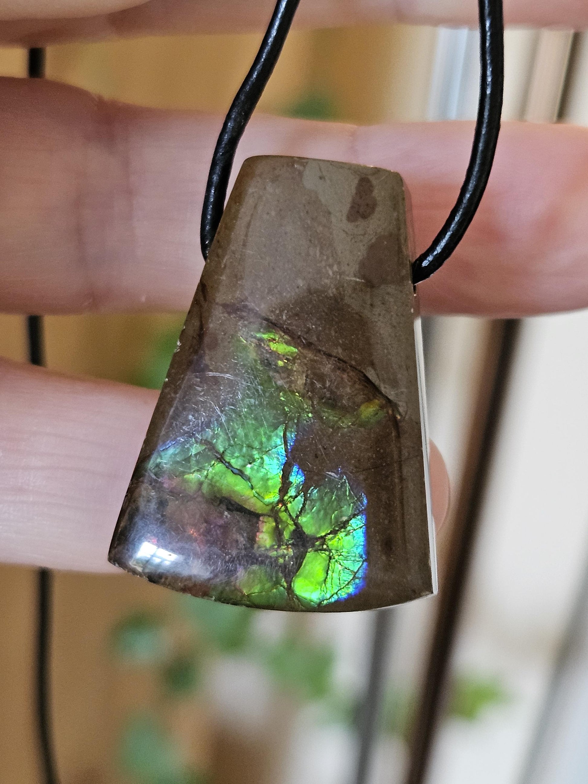 Traumhafter magischer Ammolit Opal aus Kanada, Anhänger, 33 x 23 x 9 mm, gebohrt, an verstellbarem Lederband