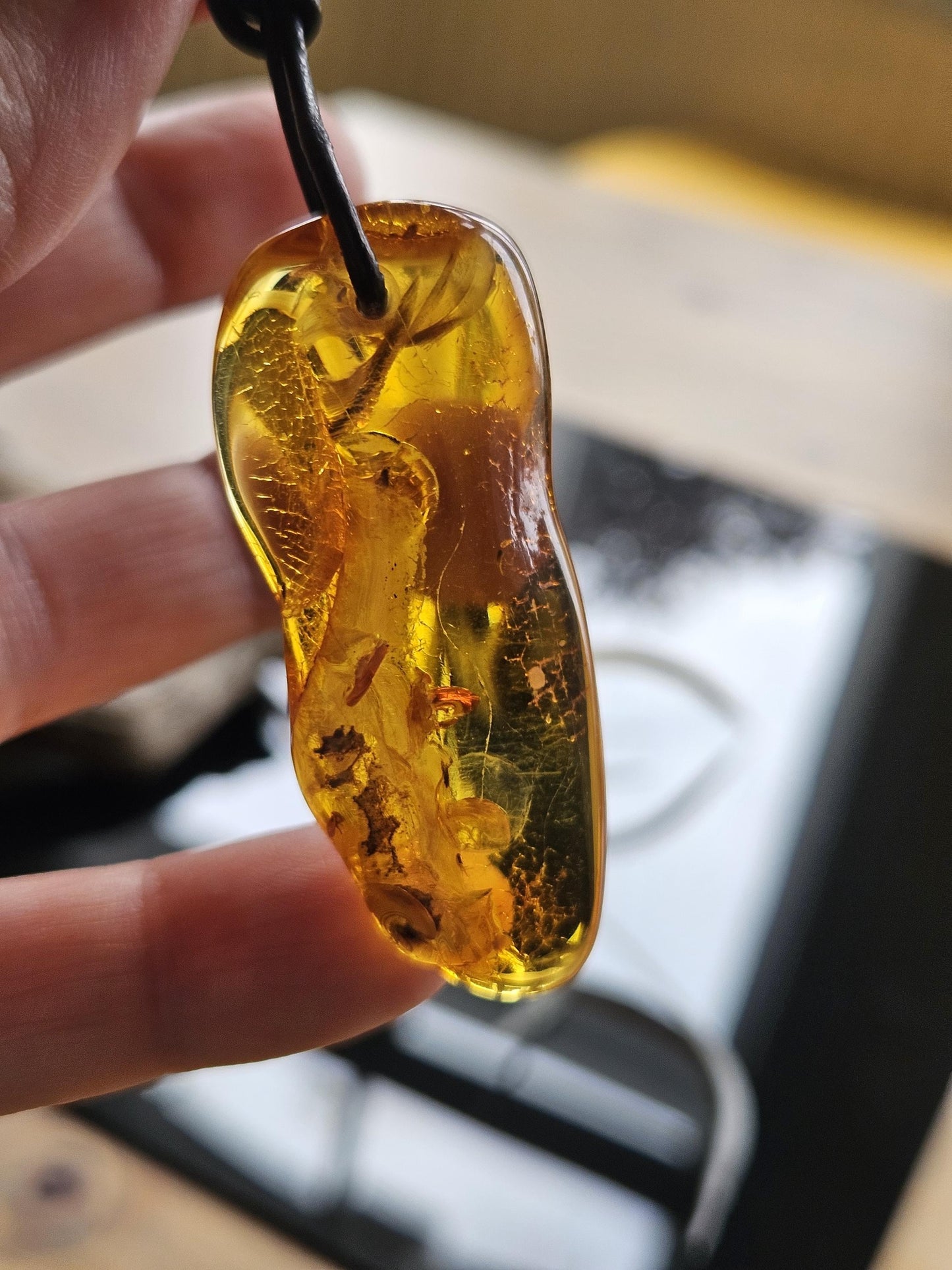 Großer feiner Bernstein Anhänger, mit Einschlüssen von Blüten Blätterskelett Bernstein Amulett, 52 x 22 x 12 mm , an Lederband