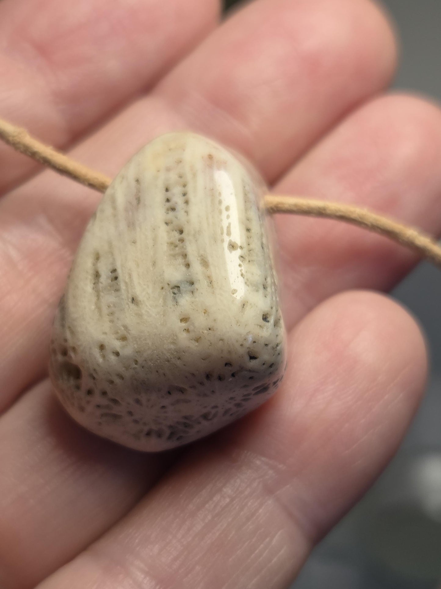 Versteinerte Koralle 31 x 23 x 15 mm, gebohrt, an verstellbarem Lederband