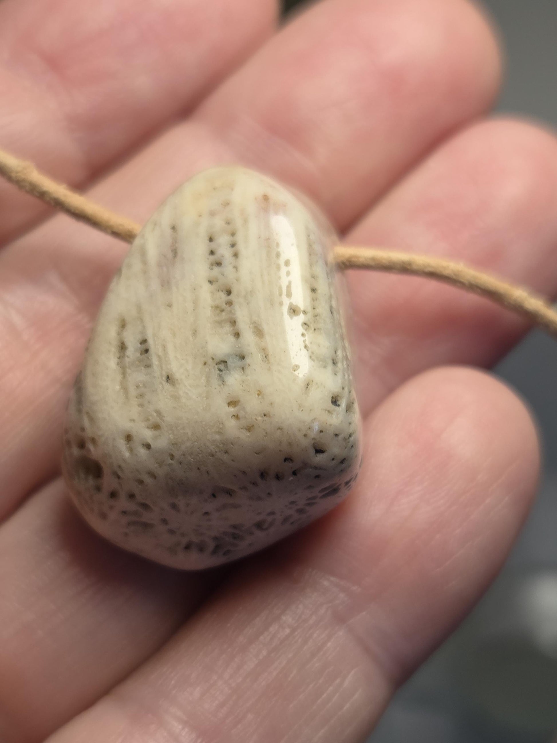 Versteinerte Koralle 31 x 23 x 15 mm, gebohrt, an verstellbarem Lederband