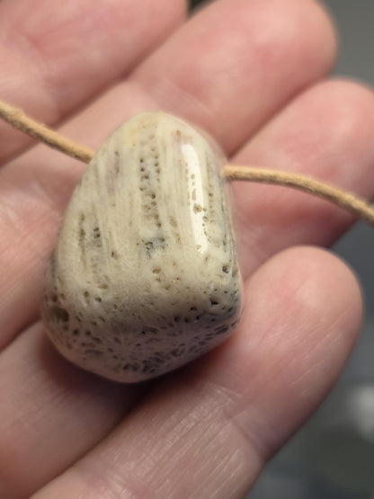 Versteinerte Koralle 31 x 23 x 15 mm, gebohrt, an verstellbarem Lederband