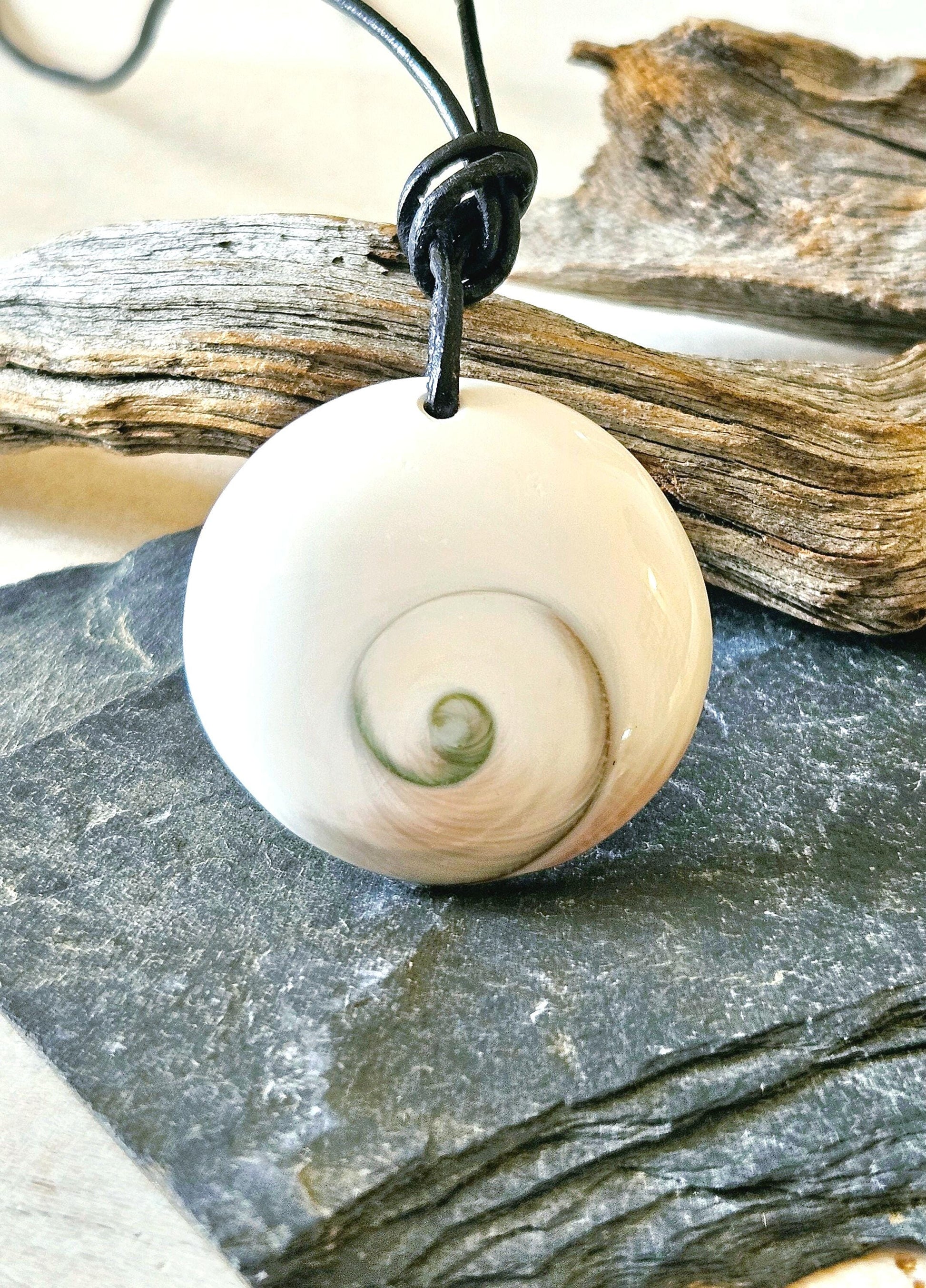 Shivas Auge Operculum großer Anhänger 35 x 8 mm , gebohrt an verstellbarem Lederband