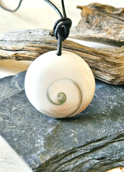 Shivas Auge Operculum großer Anhänger 35 x 8 mm , gebohrt an verstellbarem Lederband