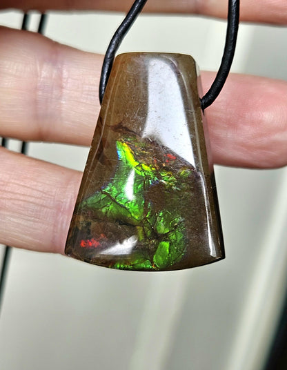 Traumhafter magischer Ammolit Opal aus Kanada, Anhänger, 33 x 23 x 9 mm, gebohrt, an verstellbarem Lederband