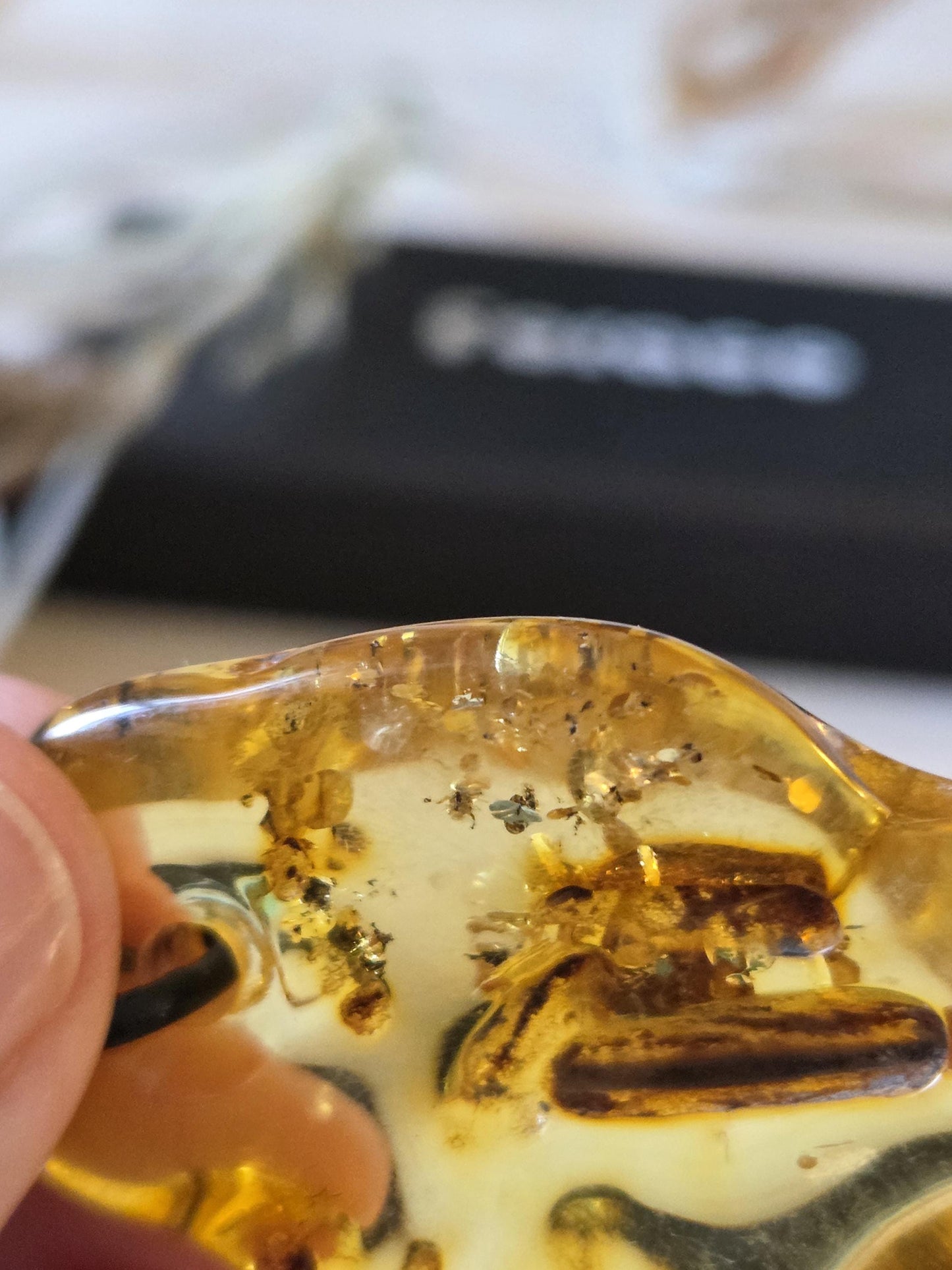 Baltischer inklusen Bernstein Anhänger, mit Einschlüssen von , Pflanzenteilen und Mini Insekt 42 x 33 x 12 mm, an verstellbarem Lederband