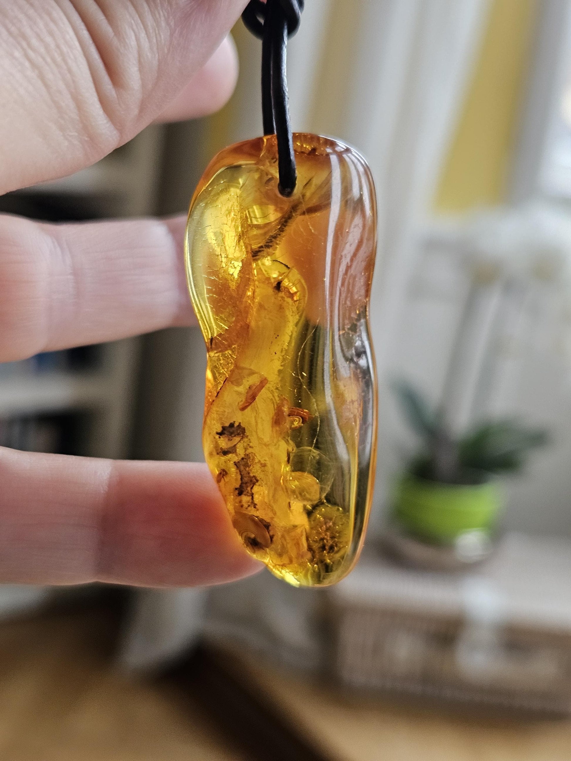Großer feiner Bernstein Anhänger, mit Einschlüssen von Blüten Blätterskelett Bernstein Amulett, 52 x 22 x 12 mm , an Lederband
