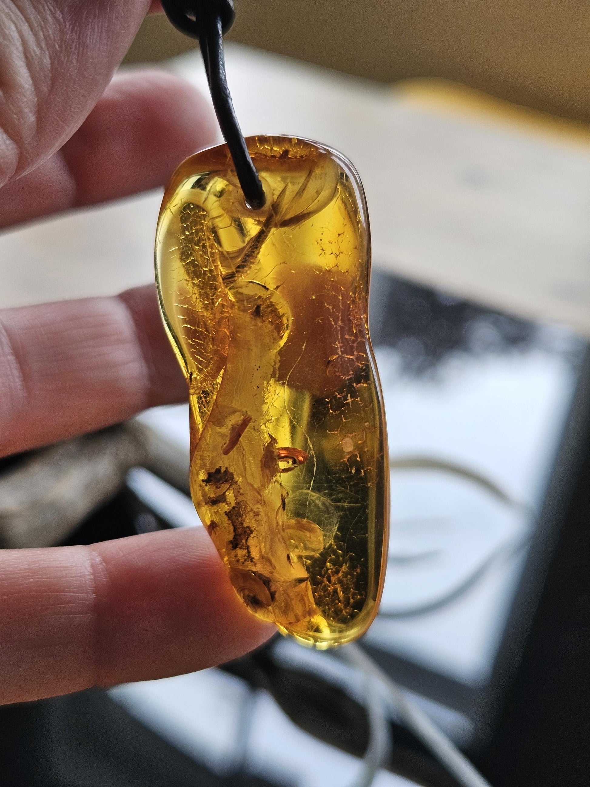 Großer feiner Bernstein Anhänger, mit Einschlüssen von Blüten Blätterskelett Bernstein Amulett, 52 x 22 x 12 mm , an Lederband