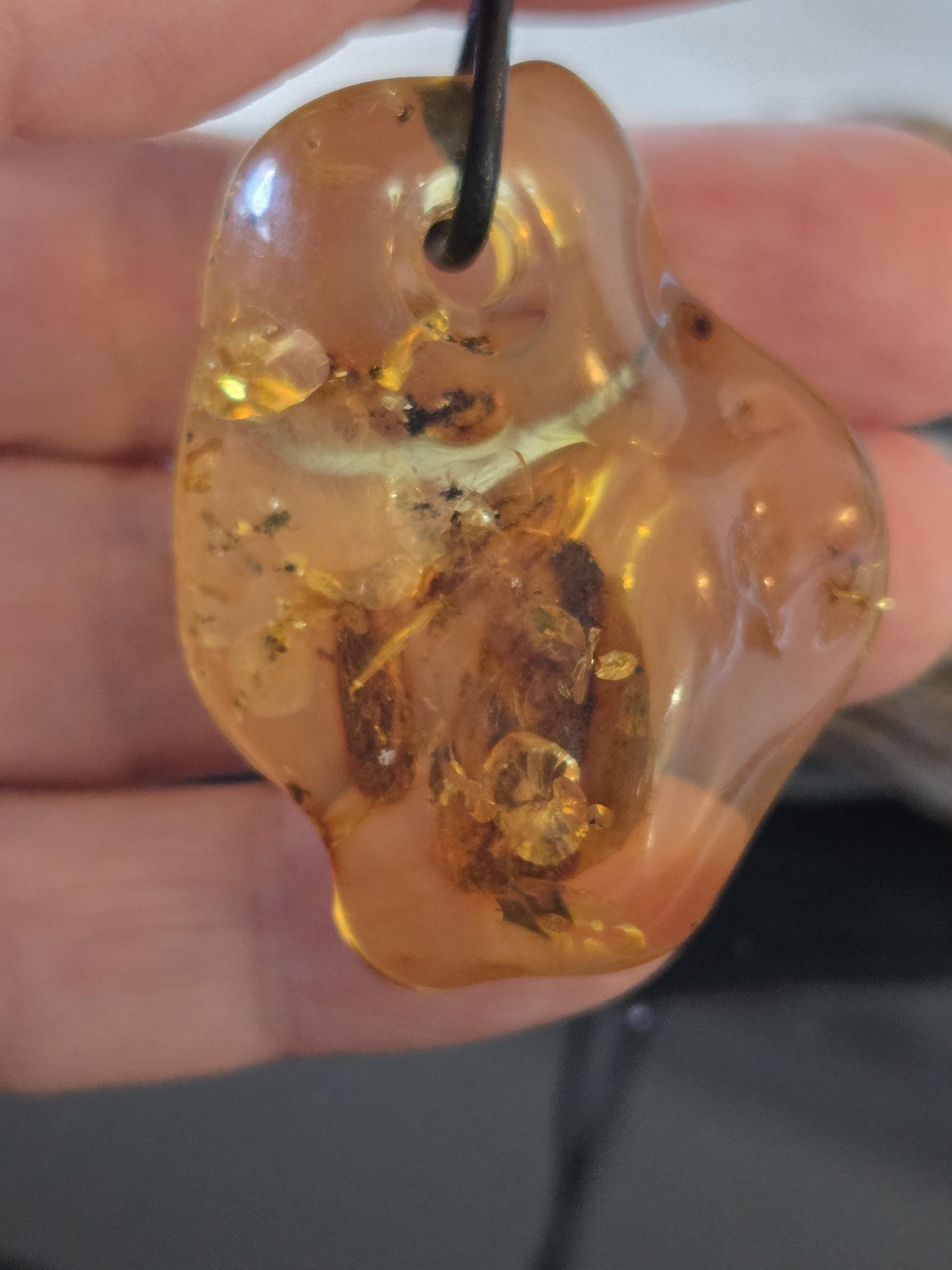 Baltischer inklusen Bernstein Anhänger, mit Einschlüssen von , Pflanzenteilen und Mini Insekt 42 x 33 x 12 mm, an verstellbarem Lederband