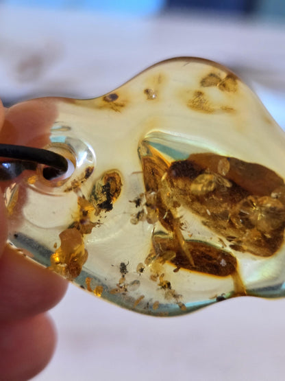 Baltischer inklusen Bernstein Anhänger, mit Einschlüssen von , Pflanzenteilen und Mini Insekt 42 x 33 x 12 mm, an verstellbarem Lederband