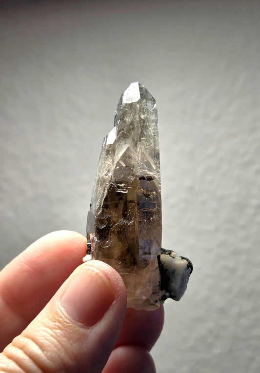 Rauchquarz Phantomquarz Kristall mit schwarzem Turmalin Rutil auf Quarz, Sammlerstein, Namibia