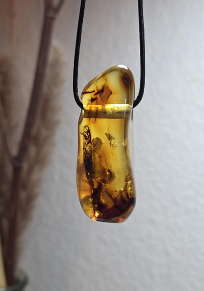Großer baltischer Bernstein Anhänger, mit Einschlüssen, Amulett, Amber pendant, 54 x 20 x 18 mm, an verstellbarem Lederband
