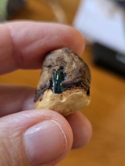 Baumperlen Anhänger der Buche mit Turmalin grün, Verdelith, Holz Anhänger mit Edelstein, 23 x 21 x 13 mm, an Lederband