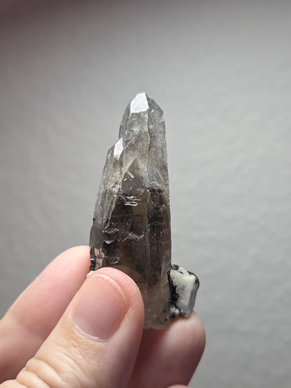 Rauchquarz Phantomquarz Kristall mit schwarzem Turmalin Rutil auf Quarz, Sammlerstein, Namibia