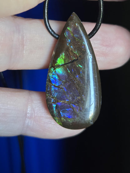 Magischer Ammolit Opal Anhänger blau grün lila, aus Kanada, 35 x 17 x 8 mm, gebohrt, an verstellbarem Lederband