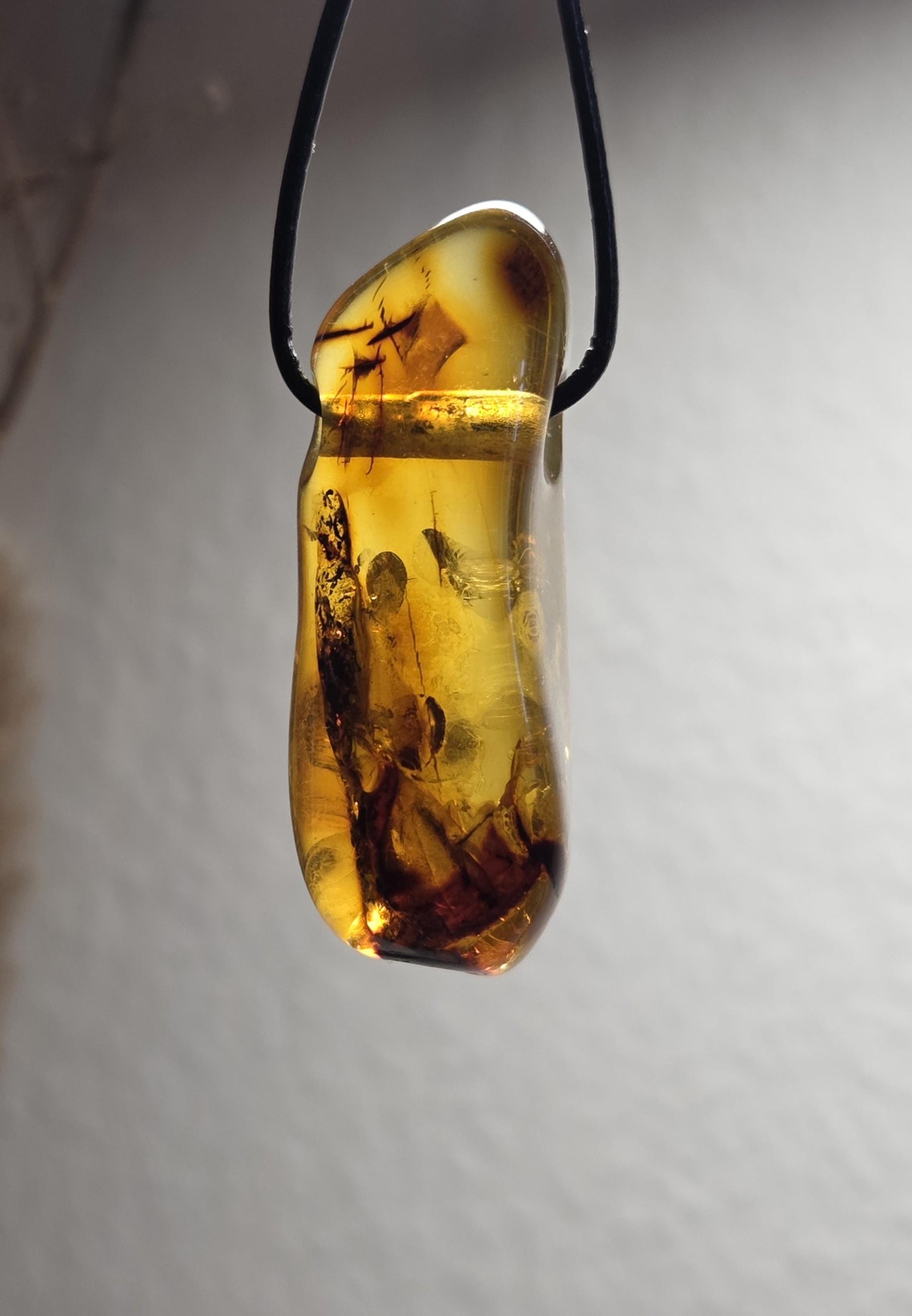 Großer baltischer Bernstein Anhänger, mit Einschlüssen, Amulett, Amber pendant, 54 x 20 x 18 mm, an verstellbarem Lederband