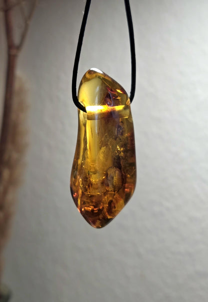 Großer baltischer Bernstein Anhänger, mit Einschlüssen, Amulett, Amber pendant, 54 x 20 x 18 mm, an verstellbarem Lederband
