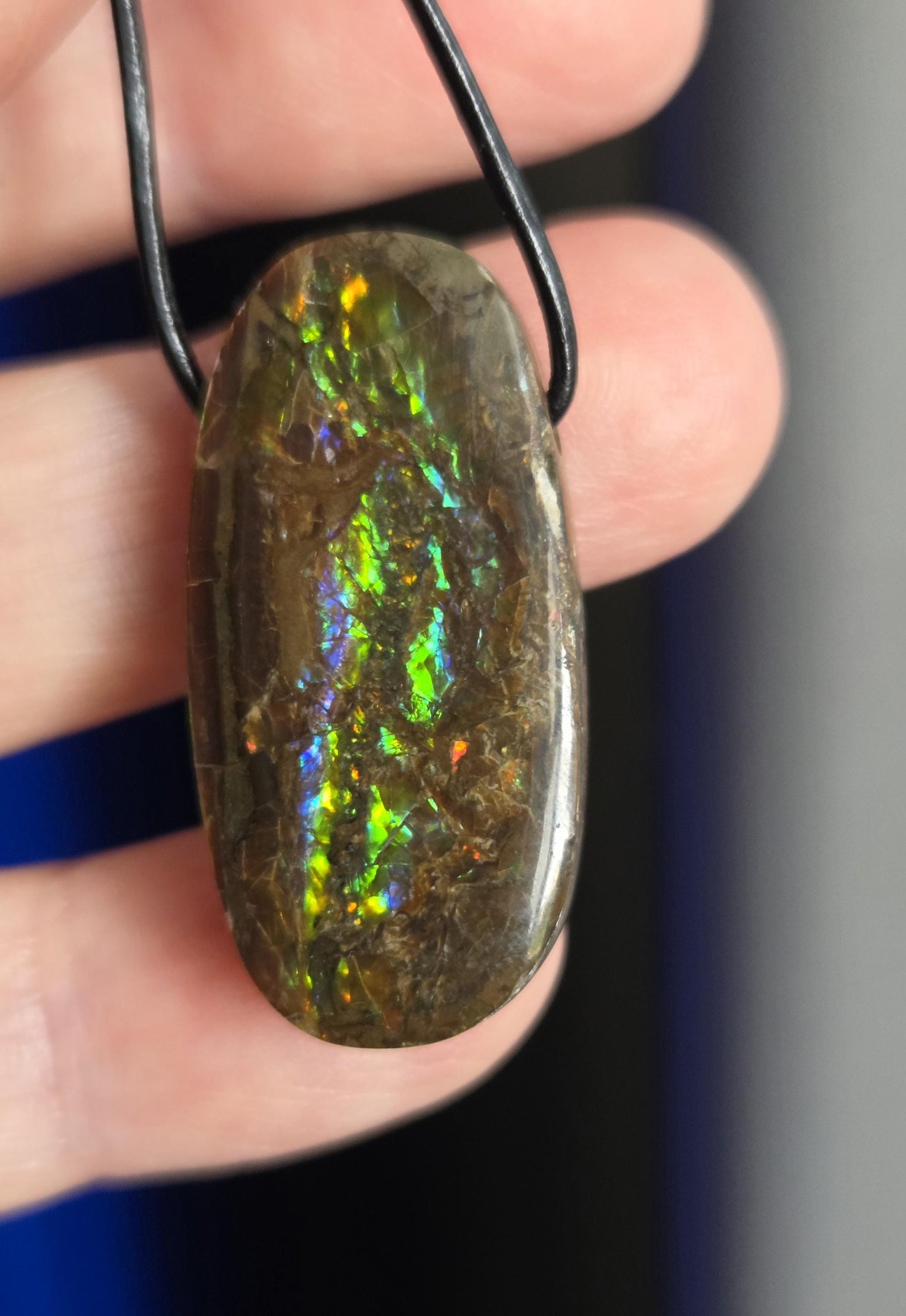 Magischer Ammolit Opal Anhänger blau grün gelb orange, aus Kanada, 35 x 17 x 8 mm, gebohrt, an verstellbarem Lederband