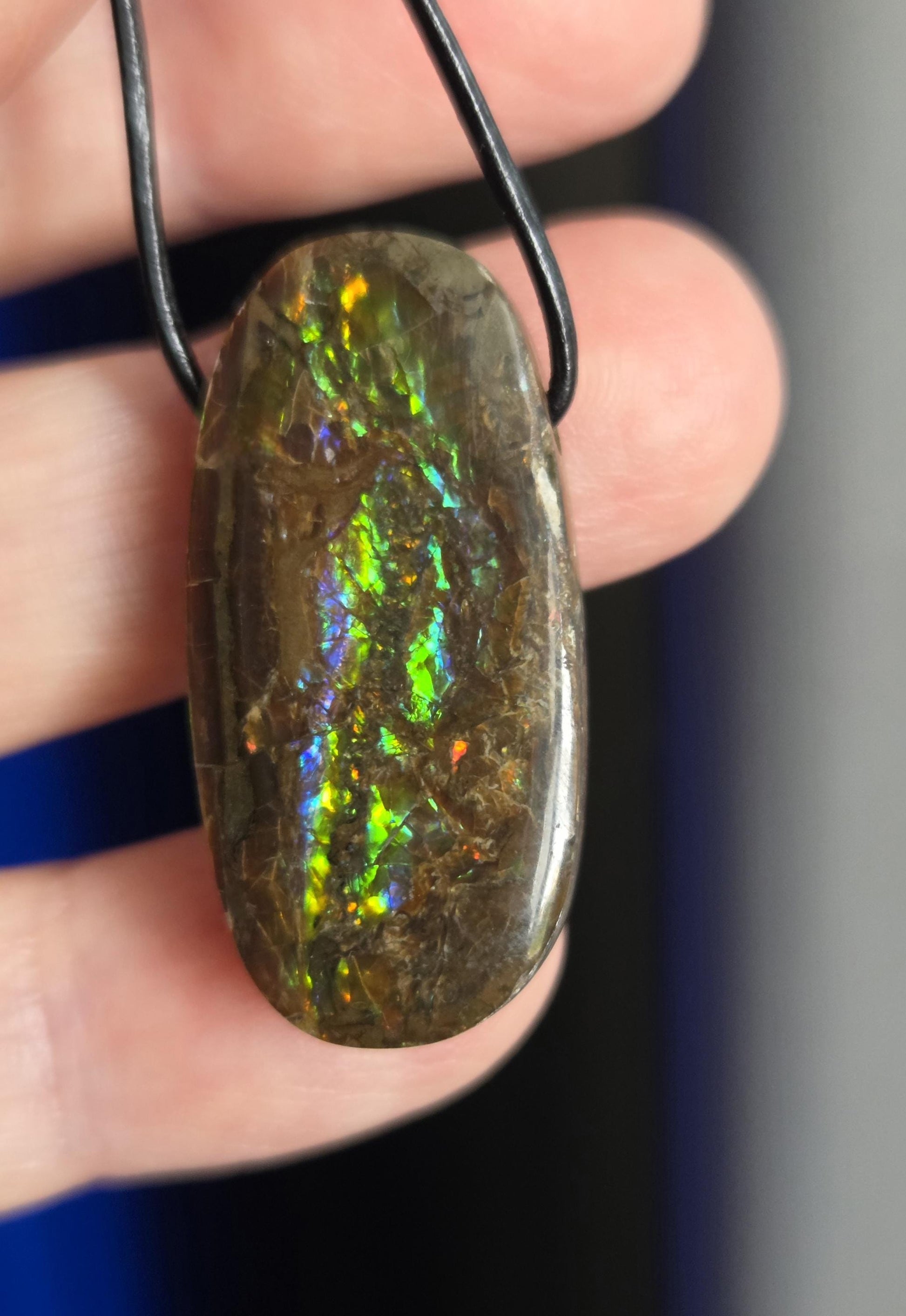 Magischer Ammolit Opal Anhänger blau grün gelb orange, aus Kanada, 35 x 17 x 8 mm, gebohrt, an verstellbarem Lederband