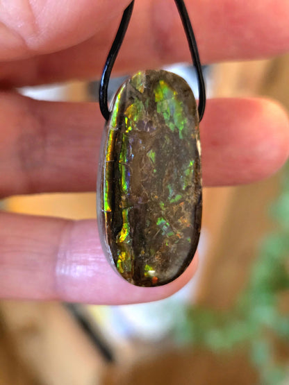 Magischer Ammolit Opal Anhänger blau grün gelb orange, aus Kanada, 35 x 17 x 8 mm, gebohrt, an verstellbarem Lederband
