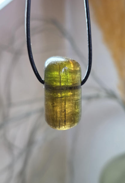 Turmalin Bicolor grün gelb Verdelith Dravit, Stäbchen geschliffen, Anhänger, 28 x 15 x 14 mm, gebohrt, an verstellbarem Lederband