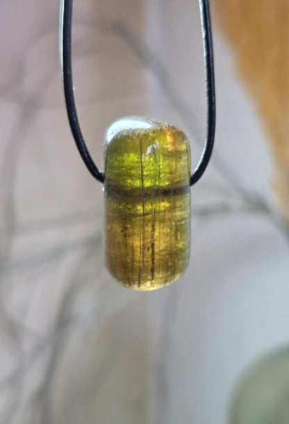 Turmalin Bicolor grün gelb Verdelith Dravit, Stäbchen geschliffen, Anhänger, 28 x 15 x 14 mm, gebohrt, an verstellbarem Lederband