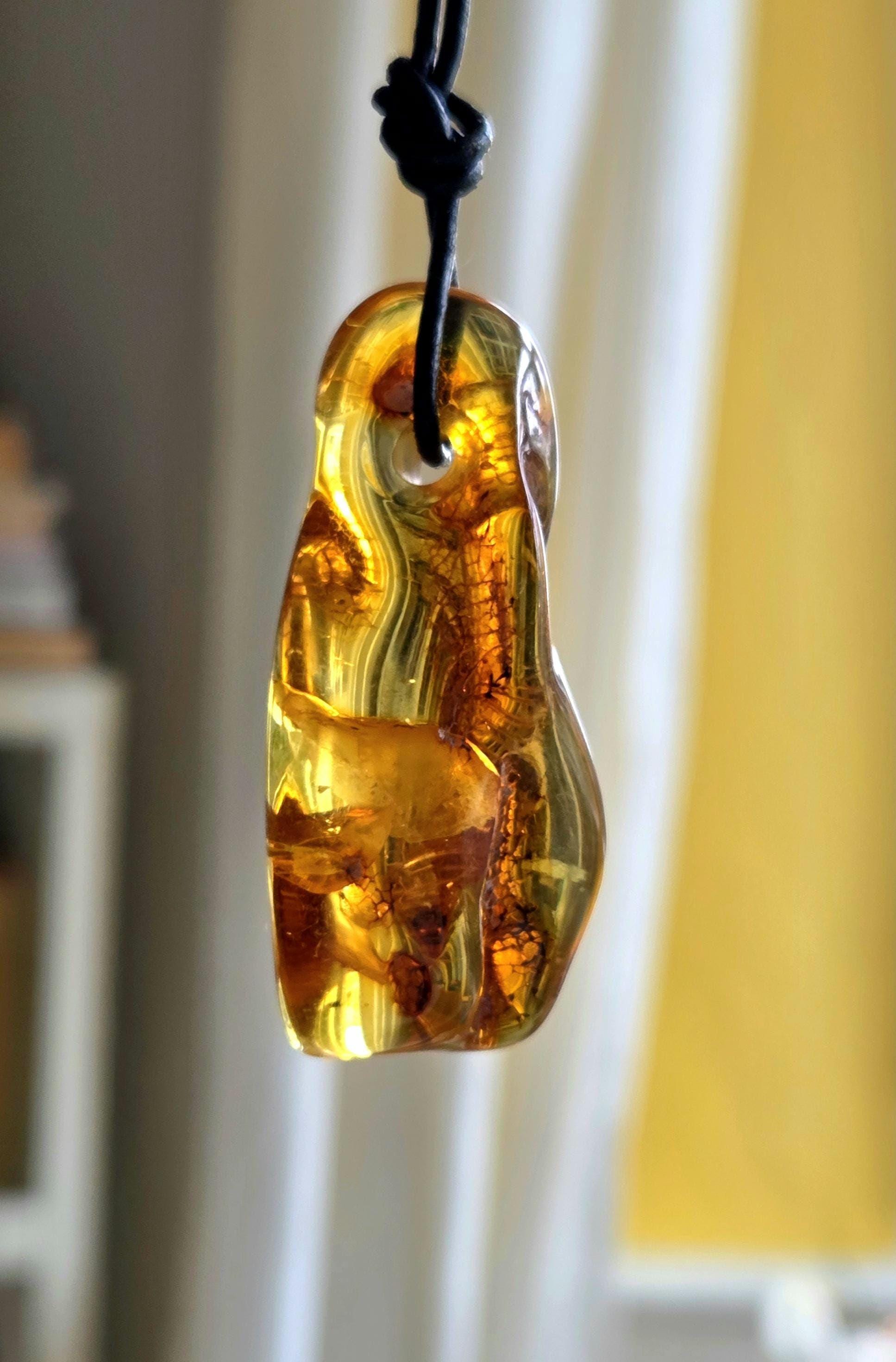 Traumhafter baltischer Bernstein Anhänger, mit Einschlüssen, Amulett, Amber pendant, 54 x 26 x 16 mm, an verstellbarem Lederband
