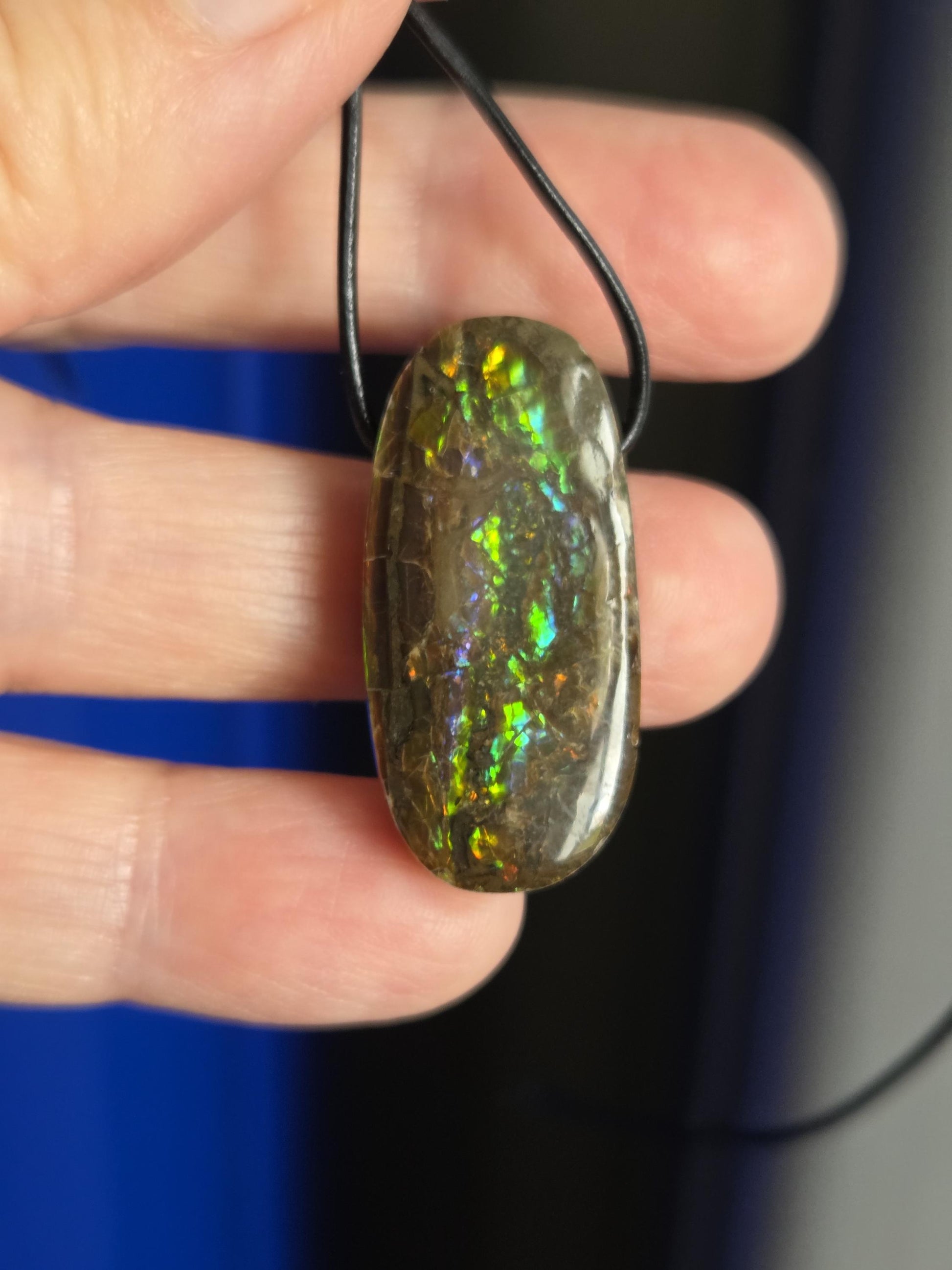 Magischer Ammolit Opal Anhänger blau grün gelb orange, aus Kanada, 35 x 17 x 8 mm, gebohrt, an verstellbarem Lederband
