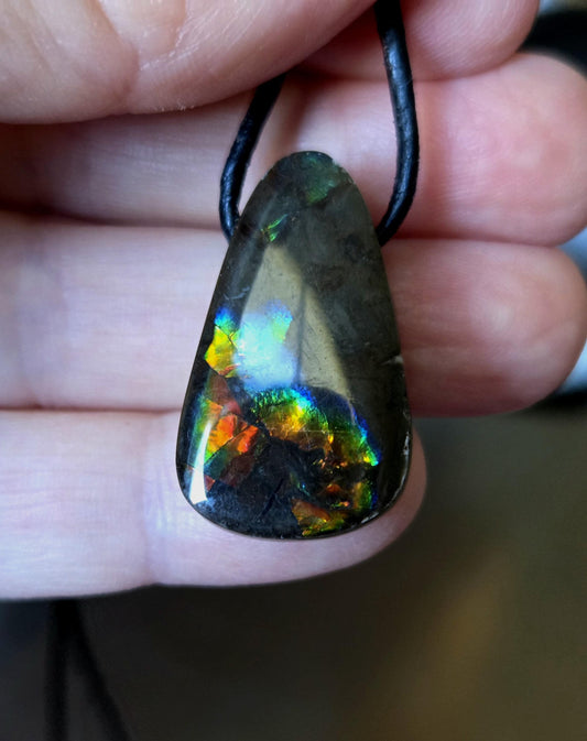 Geheimnisvoller Ammolit Opal rot blau grün gelb, aus Alberta Kanada, Anhänger, 28 x 18 x 9 mm, gebohrt, an verstellbarem Lederband