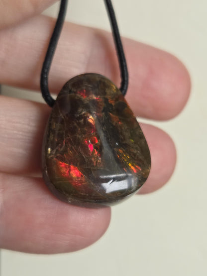 Geheimnisvoller Ammolit Opal Anhänger aus Alberta Kanada, 25 x 21 x 10 mm, gebohrt, an verstellbarem Lederband