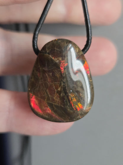 Geheimnisvoller Ammolit Opal Anhänger aus Alberta Kanada, 25 x 21 x 10 mm, gebohrt, an verstellbarem Lederband