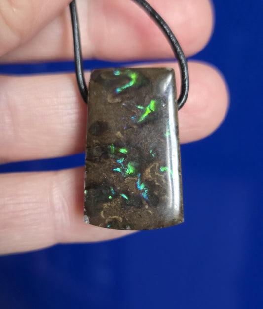 Seltener Ammolit Opal Anhänger blau grün, aus Alberta Kanada, 28 x 17 x 9 mm, gebohrt, an verstellbarem Lederband