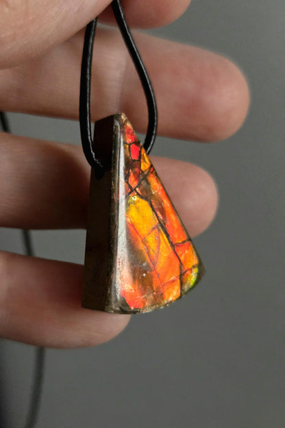 Seltener Ammolith Opal Anhänger aus Alberta Kanada, 33 x 21 x 8 mm, gebohrt, an verstellbarem Lederband, Ammolit, Ammonit