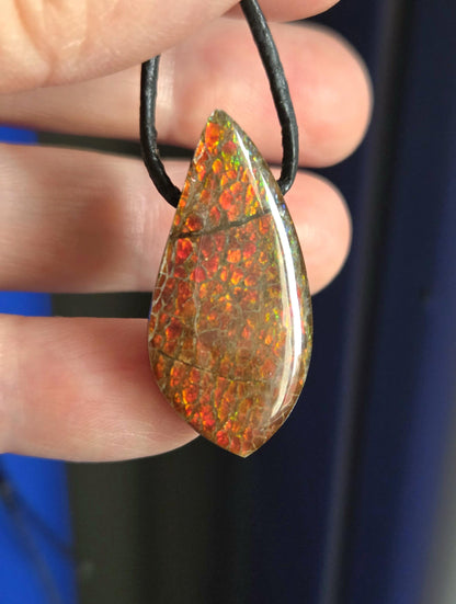 Traumhafter magischer Ammolith Opal Kirchenfenster Muster Anhänger, 33 x 17 x 7 mm, gebohrt, an verstellbarem Lederband, Ammolit