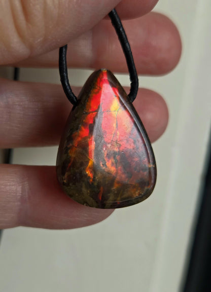 Seltener Ammolith Opal rot, Anhänger aus Alberta Kanada, 30 x 21 x 7 mm, gebohrt, an verstellbarem Lederband, Ammolit Ammonit