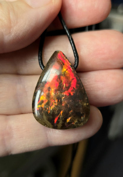 Seltener Ammolith Opal rot, Anhänger aus Alberta Kanada, 30 x 21 x 7 mm, gebohrt, an verstellbarem Lederband, Ammolit Ammonit