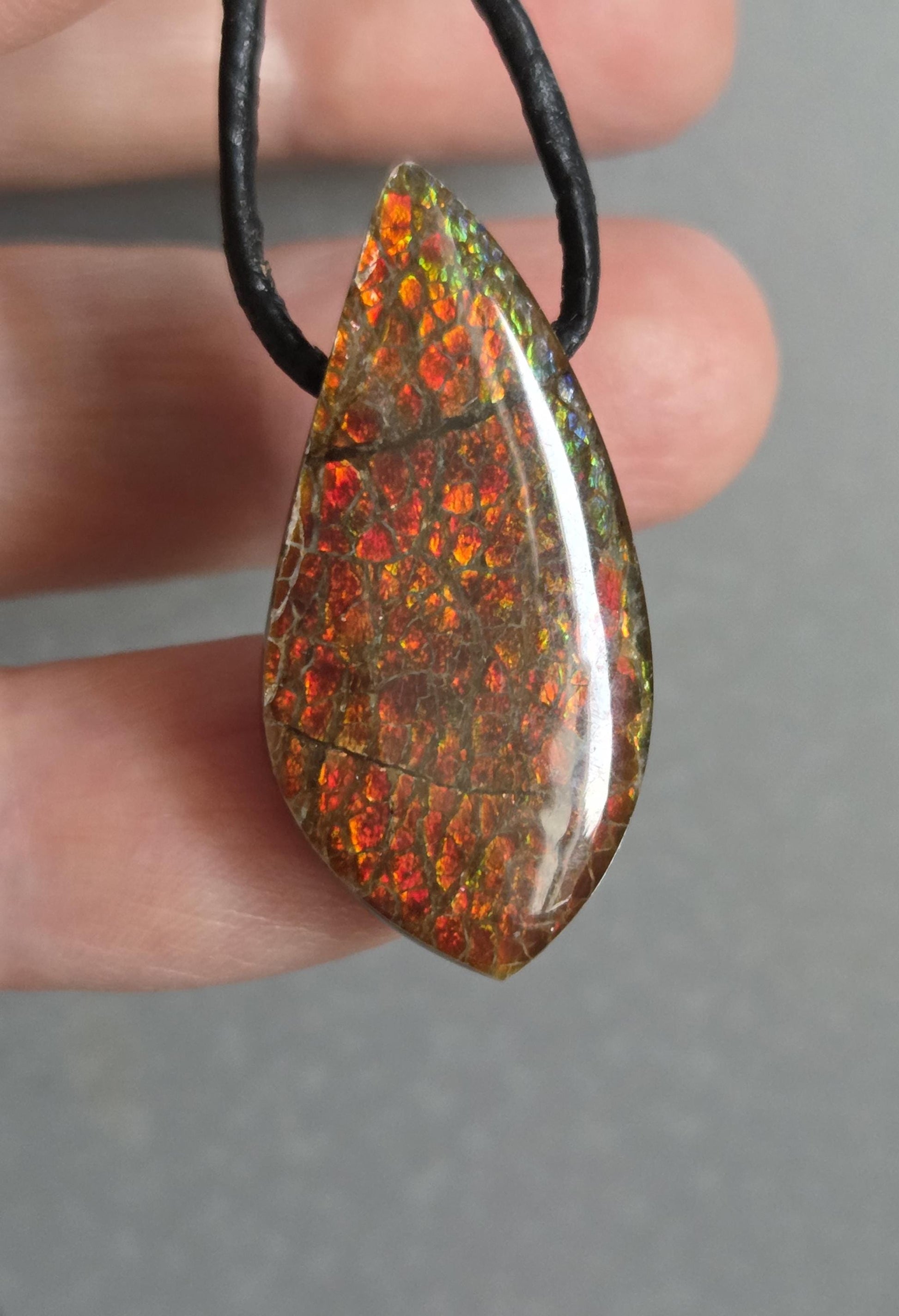 Traumhafter magischer Ammolith Opal Kirchenfenster Muster Anhänger, 33 x 17 x 7 mm, gebohrt, an verstellbarem Lederband, Ammolit